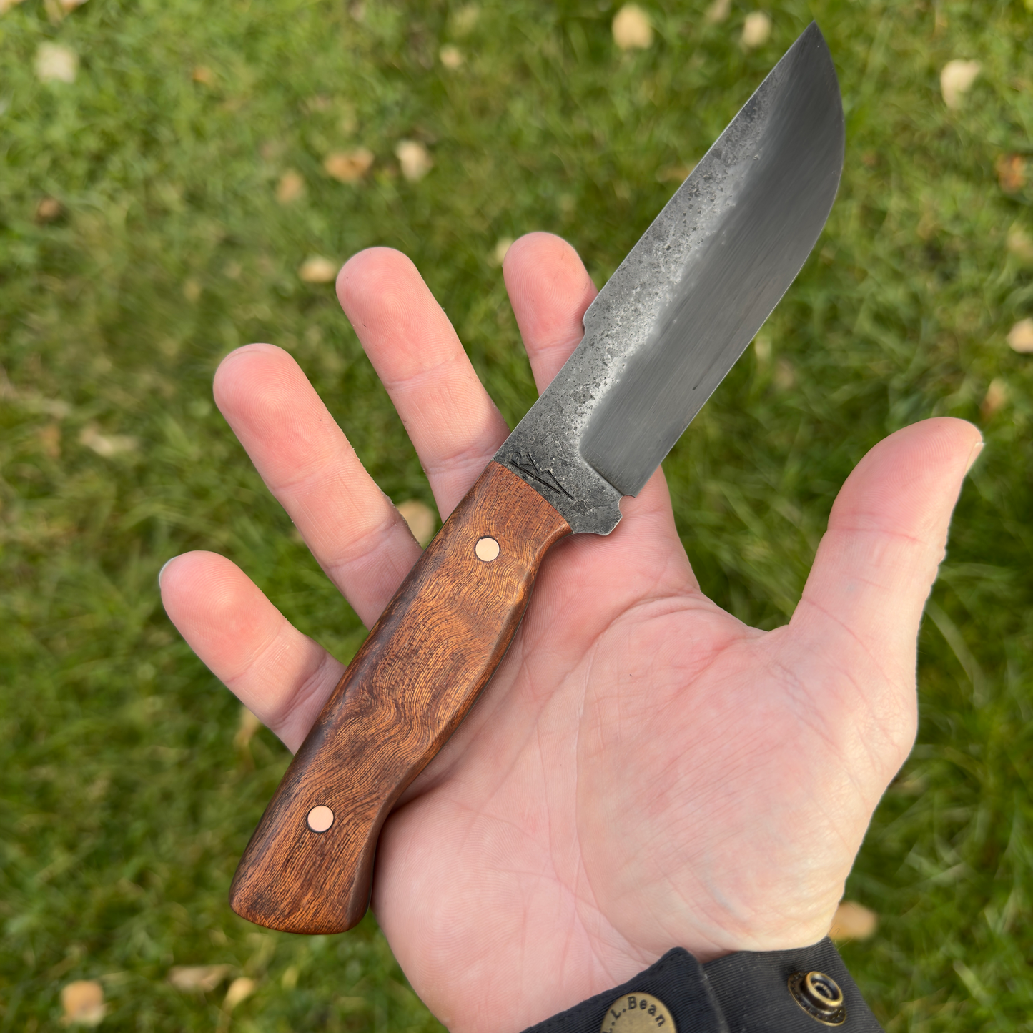 5” Hand-Forged Utility & Backcountry Knife, 80CrV2